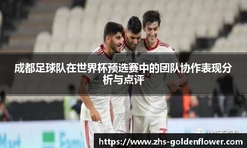 成都足球队在世界杯预选赛中的团队协作表现分析与点评